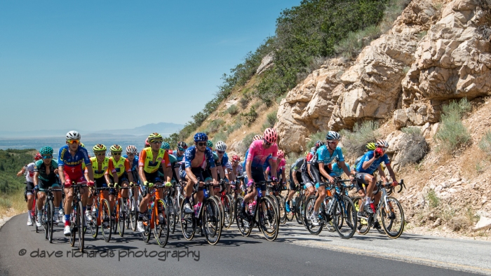 The peloton rides in tight formation up North Ogden Pass. Stage 2 - Brigham City to Powder Mountain Resort, 2019 LHM Tour of Utah (Photo by Dave Richards, daverphoto.com)