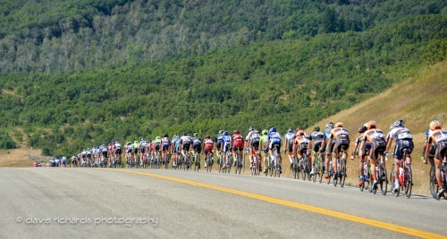 The peloton stretches out on the descent from Trappers Loop. Stage 6, 2016 Tour of Utah. Photo by Dave Richards, daverphoto.com
