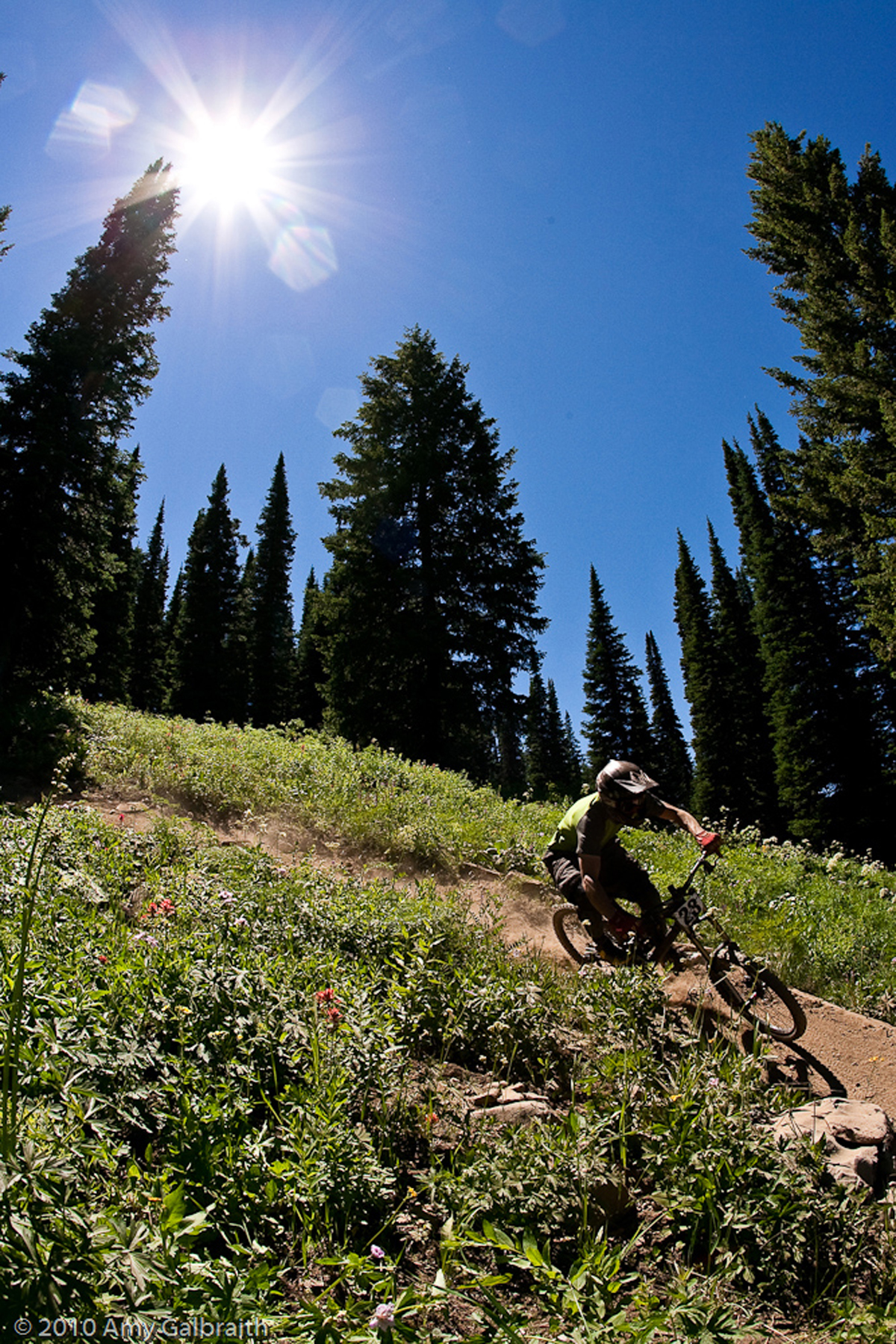 Mountain Biking’s Best Kept Secret: Teton Valley