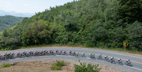 The peloton hits the final switchback on the Big Mountain climb in stage 6 of the 2014 Tour of Utah. Photo by Dave Richards, daverphoto.com