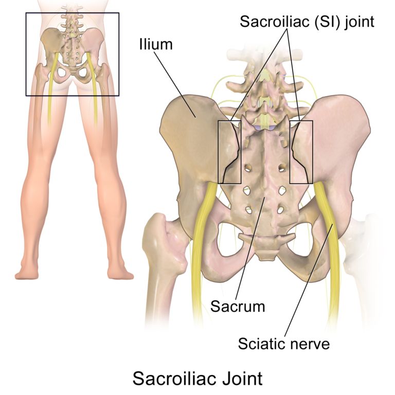 Sacroiliac Joint (SI) Pain in Cyclists