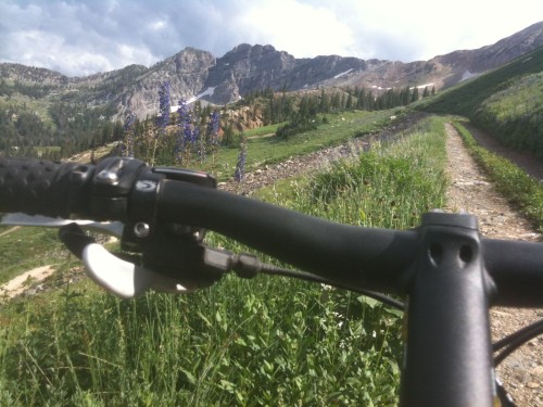 There is beautiful riding in Albion Basin in Alta, Utah. Photo by Dave Iltis.