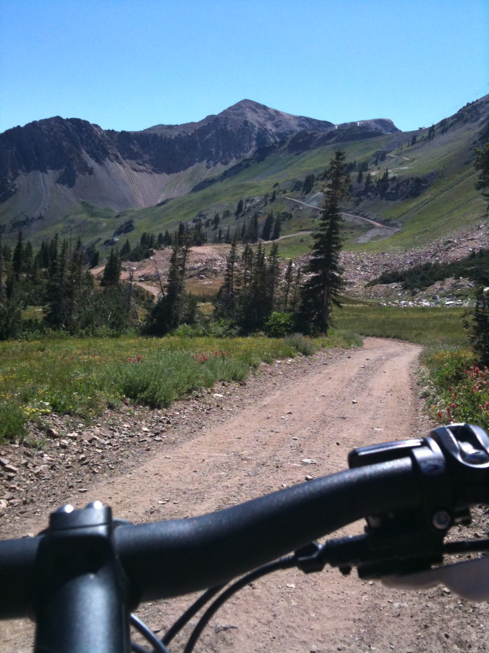 Mountain Biking in Alta in the Wasatch Cache National Forest. Photo by Dave Iltis