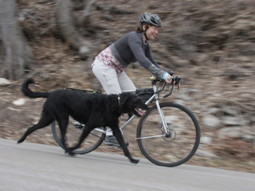 Jamie rides to work with Chorney each day. Chorney is on a short leash attached to the rear rack. Photo by Stephen Morningstar
