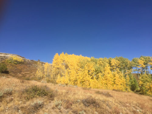 Funds are needed to preserve Bonanza Flat between Big Cottonwood Canyon and Park City. Photo by Charlie Sturgis