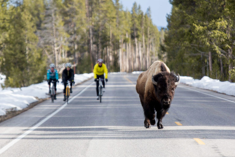 It Will Soon Be Easier to Cycle Yellowstone