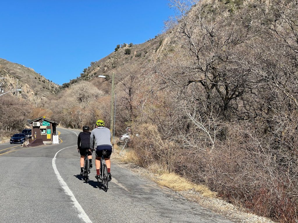 Cyclists climbing Millcreek Canyon. Photo by Lisa Hazel
