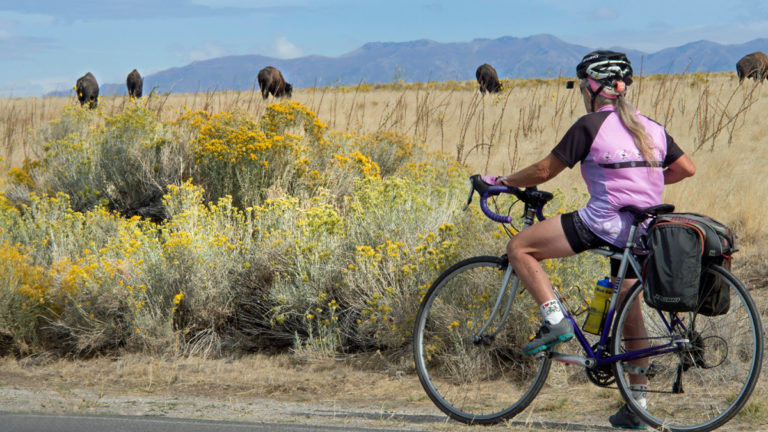 Antelope Island: A Californian’s Utah Bicycle Adventure in the Time of COVID